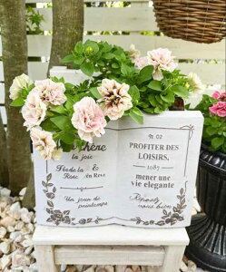 @@fBXvC  C X^C p̖{  Aؔ i K[f G 