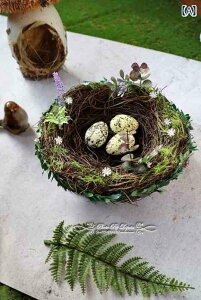 @@fBXvC C[X^[B _ X V[Y  C[X^[GbO EFfBO Ղ i