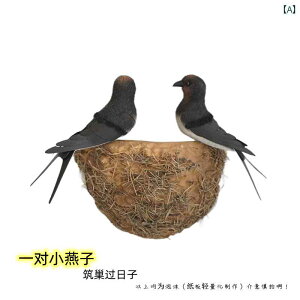 @@fBXvC V~[V co   ǂ  V[h   lH Ǌ| ƒp  