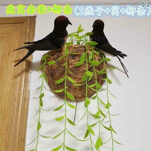 @@fBXvC V~[V    co  ǂ Ƃ rO [ ct