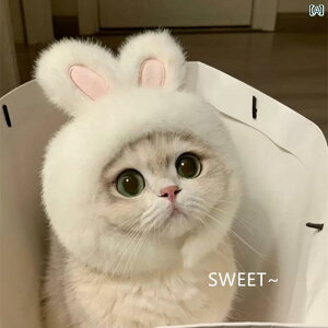 ā@C[}t@킢 Lp h C[}t ybg p  ጸ wbh}Eg    VN ԉ |  XgX SH