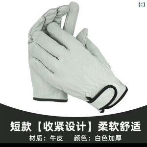 K[fjO@@ o     Ԃ ͔| T{e h~ h A͂  | 