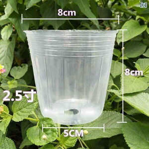 K[fjO@DIY@@    p Aؔ fhrE Jbv A c  h{  vX`bN |bg