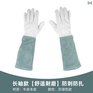 K[fjO@@ Ԃ At o   Ԃ T{e  ɂ h  t[A[g   g |p Ƃ h~ 