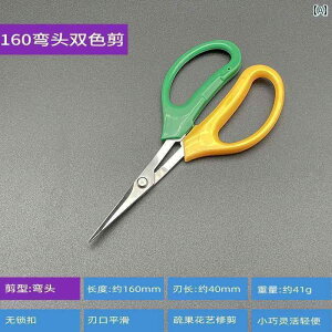 K[fjO@DIY@@ O[vt[c p nT~ Eݎ t ʕ ؂ IW |p Ԉp t[c s[}p  