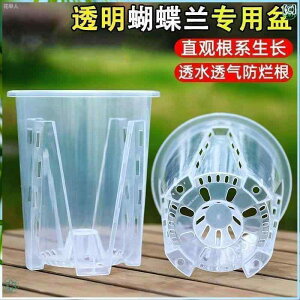 K[fjO@DIY@@    p Aؔ  vX`bN   ʋC   h~ ƒp oRj[ A ^