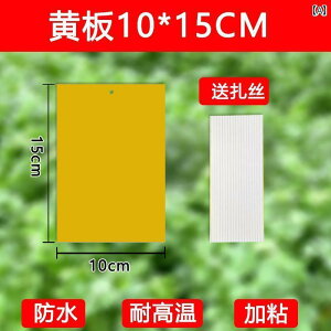 K[fjO@DIY@@ S  {[h  F    nG ~oG gbv XebJ[ _ ƒp K[f