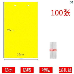 K[fjO@DIY@@  S  h {[h p ʎ  p CG[   nG  悯 XebJ[ AU~E} 