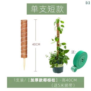 K[fjO@DIY@@ RRV _ ΂ 卪  pC A t[ bN oRp t[ X^[ | x RRibc VN ۂ  V v