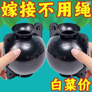 K[fjO@DIY@@ A  ږ  ɐB    pbP[W  lH ʎ } c w } |