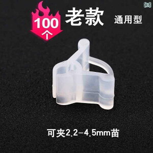 K[fjO@DIY@@ A  ʕ / iX XCJ  ږ Nbv c _炩 c ܂