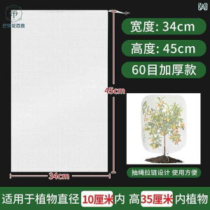 K[fjO@DIY@@ h lbg Jo[ K[[  ͔| ʎ   u[x[g}g Aؔ   60 bVlbg