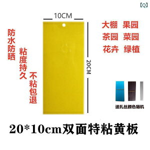 K[fjO@DIY@@ S   {[h F   AU~E}p F ߊl ~oG j I XebJ[ ʎ   