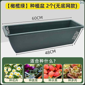 K[fjO@DIY@@ oRj[  Aؔ ` vX`bN ؂ Ԃ ͔| ƒp g}g XCJ |bg