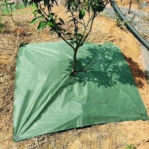 K[fjO@DIY@@ ʎ G h~ z hSt[c  Jo[ ʋC ێ Oh NX _ A }` tB