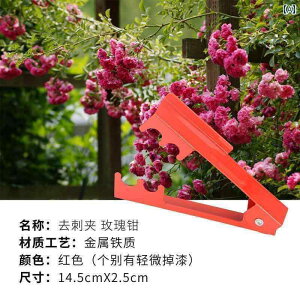 K[fjO@DIY@@ o y` Ƃ t[Vbv c[ o ԑ  Nbv  S  