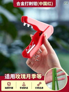 K[fjO@DIY@@ o Ƃ y` c[ t[A[g Ԃ Ƃ   ͂ c[Lbg