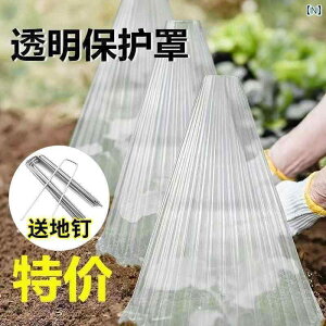 K[fjO@DIY@@ c ی Jo[  x Jo[ p \     Q  