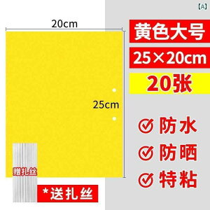 K[fjO@DIY@@ S   {[h CG[  gbv  tC Aؔ 쏜   nG u[ XbvX    XebJ[