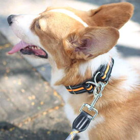 犬用首輪 大型犬 中型犬 散歩用リード セット 丈夫 ナイロン製 引っ張り防止 訓練用 ペット用品 装着簡単 高耐久性 快適 ソフトクッション 散歩 トレーニング リード付き 首輪 中大型犬用 ゴールデンレトリバー ラブラドール コーギー 快適な付け心地