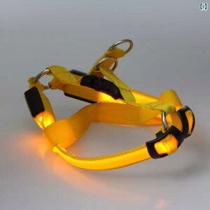 p@ LED p  [v xXg X^C LED   w efB R[M[ `F[ ^ USB [d