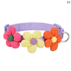 p@ LED   v ybg ^ ^ ^  R[M[ rV Oop   ANZT[