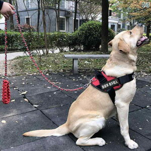 n[lX@p@[h p `F[ ݂ h~  [v  U  ߕtȂ S[fgo[ uh[ ^  ^   n[lX