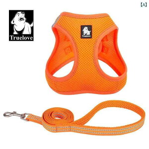 n[lX@p@[h TRUELOVE qp  [v xXg ybgp `FXgn[lX efB ^ p EH[LO `F[