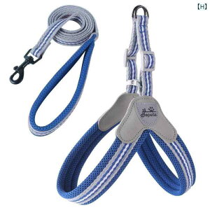 n[lX@p@[h p  [v  Up ybg [h Č efB R[M[ ^ ^ n[lX `F[