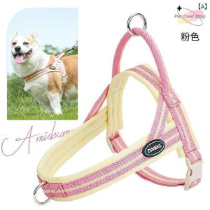 n[lX@p@[h   [v Up `FXgn[lX ^ ^ p [h R[M[ p Th^ `F[ ybg pi