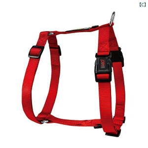 n[lX@p@[h DOCO JWA H^  w  h~ ^ ^ ^ p AEghA xXg^ ybg n[lX