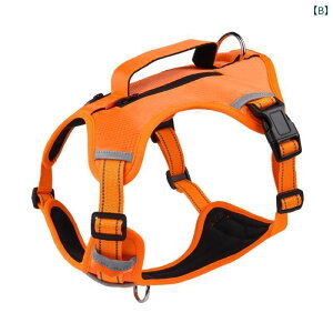 n[lX@p@[h p  [v xXg X^C R[M[ ^  ^ Čp `FXgn[lX h  J[ EH[LO `F[