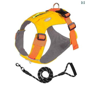 n[lX@p@[h   [v xXg X^C ^ ^ Č R[M[ efB  U ߉\  n[lX `F[