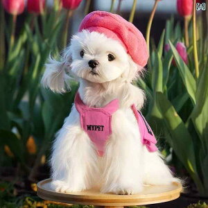 n[lX@p@[h   ėp  xXg ybg ^ }`[Y rV [NV[ efB qp Xgbv