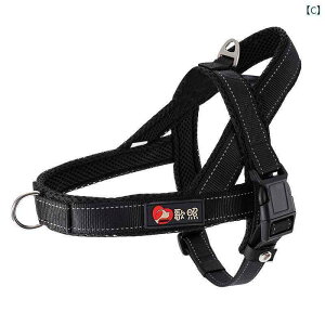 n[lX@p@[h Č   [v h   n[lX xXg X^C ^ ^ {[_[R[ ybg EH[LO 