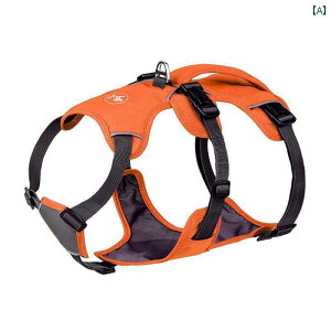 n[lX@p@[h h  ybg `FXgn[lX  xXg  R[M[ Č ^  ^  [v