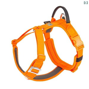 񂿂@n[lX@킢  Up [h ^  ^ ^ p h ^ efB R[M[ AEghA pi xXg^ ybgp `FXgn[lX