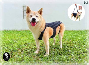 񂿂@n[lX@킢  ʋC  ybg  w T|[g N  EGXg   Ŋ  wjA ی