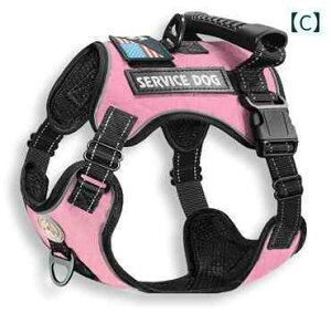 񂿂@n[lX@킢 ^  ^ p  [v S[fgo[ W[ } VFp[h h[x} TGh p h  `FXgn[lX EH[LO `F[ Z