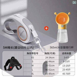 񂿂@n[lX@킢   [v     ybg u Oo p h  ^ ^ p `FXgn[lX pi