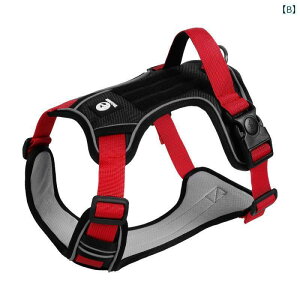 񂿂@n[lX@킢 p  [v h ^ EH[LO [v  Ƃ ł܂B ^  ^ n[lX   w gp