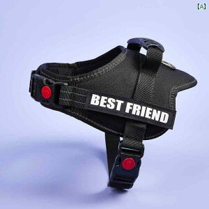 񂿂@n[lX@킢 PETOPT h   p `FXgn[lX  [v R[M[ {[_[J[ S[fgo[ TGh xXg xg