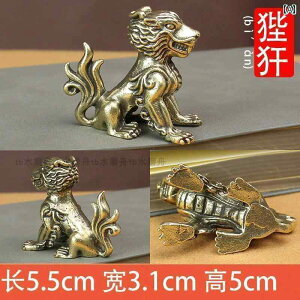 AeB[N@G݁@DIY     q Zbg ^J  i ItBX  fXN gbv   nhs[X