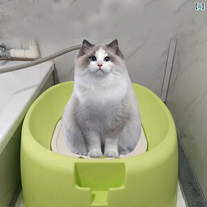 �L �g�C�� �{�b�N�X ���� �U�� �t���b�V�� �L�p �g�C�� �{�b�N�X �ԊO�� �y�b�g�p ���p