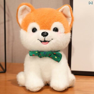 @ʂ݁@ 킢 Č efB  ʂ  ^ l` Oh[ q LbY X[v 