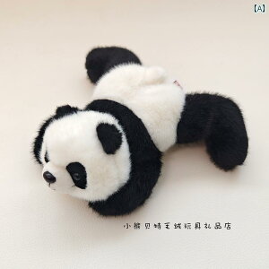 @ʂ݁@ pp p_ l` q  ETM ʂ  킢  ~j i}Pm a v[g