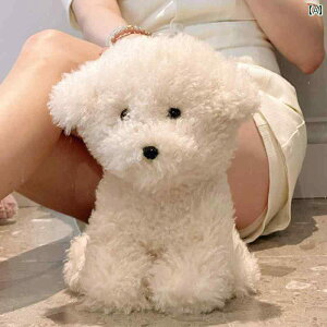 @ʂ݁@  rV l`  V~[V ʂ z ̎q   {[Cthւ a v[g