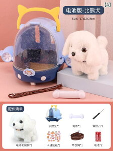 @ʂ݁@    l` ʂ V~[V  i  q d q ̎q ybg