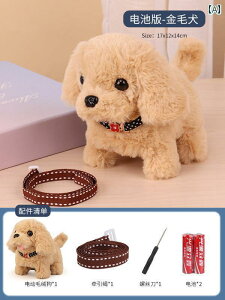 @ʂ݁@ q    i Ԃ V~[V d ʂ q j̎q 킢 ybg dq ̎q