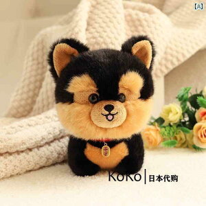 @ʂ݁@ V~[V    ʂ l` R[M[ [NV[ `E`E  ~j q